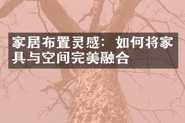 家居布置灵感：如何将家具与空间完美融合