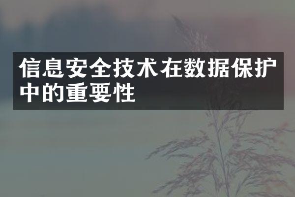 信息安全技术在数据保护中的重要性