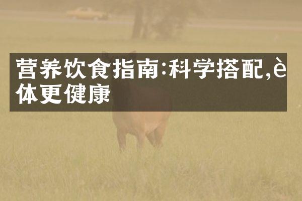 营养饮食指南:科学搭配,身体更健康