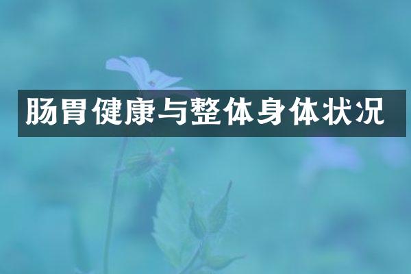 肠胃健康与整体身体状况
