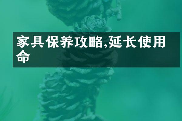 家具保养攻略,延长使用寿命