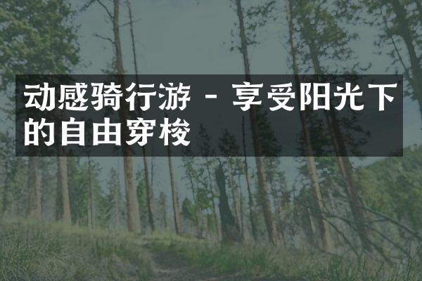 动感骑行游 - 享受阳光下的自由穿梭