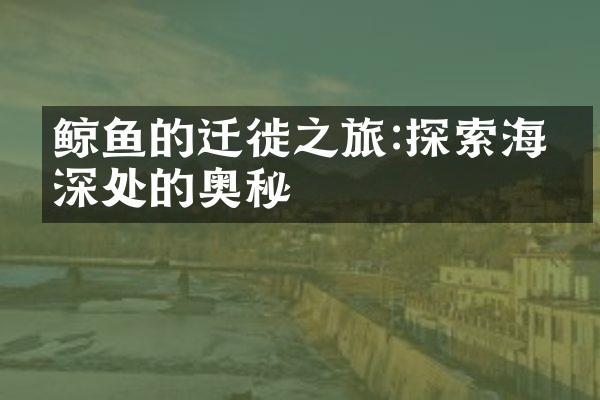 鲸鱼的迁徙之旅:探索海洋深处的奥秘