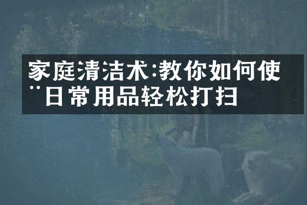 家庭清洁术:教你如何使用日常用品轻松打扫