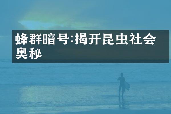 蜂群暗号:揭开昆虫社会的奥秘