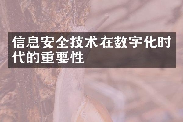 信息安全技术在数字化时代的重要性