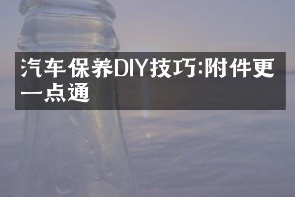 汽车保养DIY技巧:附件更换一点通