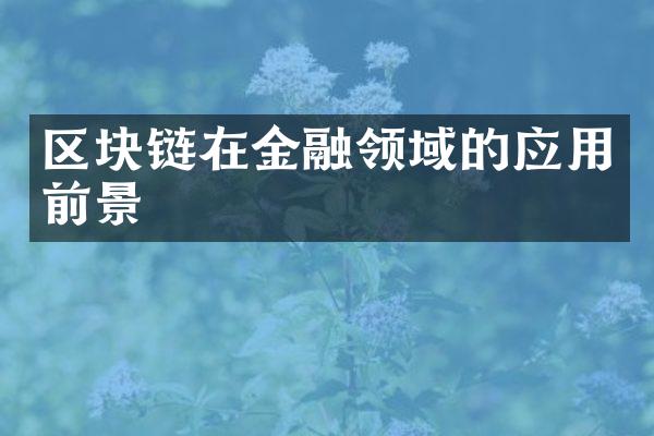 区块链在金融领域的应用前景