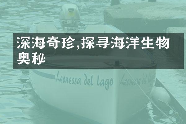 深海奇珍,探寻海洋生物的奥秘