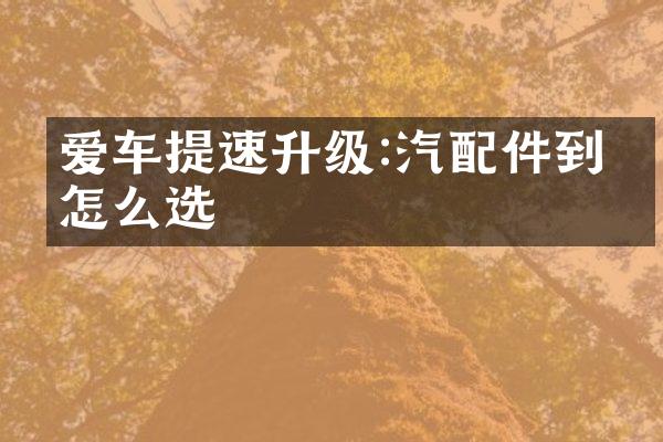 爱车提速升级:汽配件到底怎么选