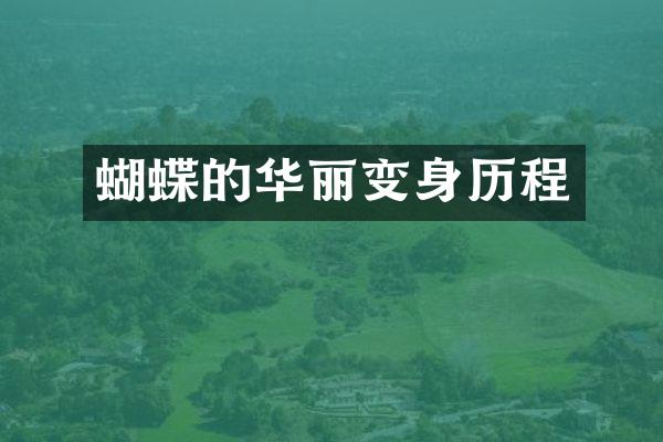 蝴蝶的华丽变身历程