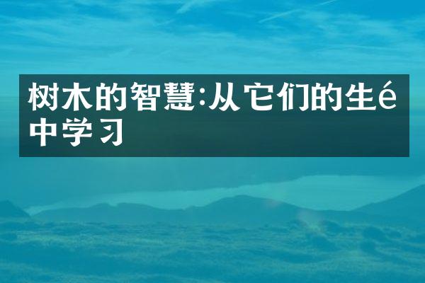 树木的智慧:从它们的生长中学习