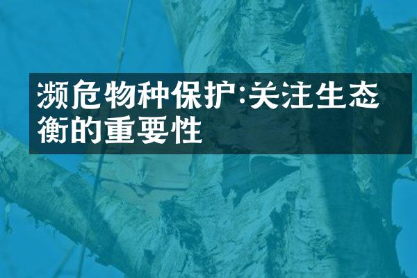 濒危物种保护:关注生态平衡的重要性