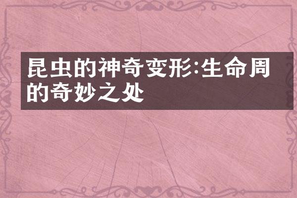 昆虫的神奇变形:生命周期的奇妙之处