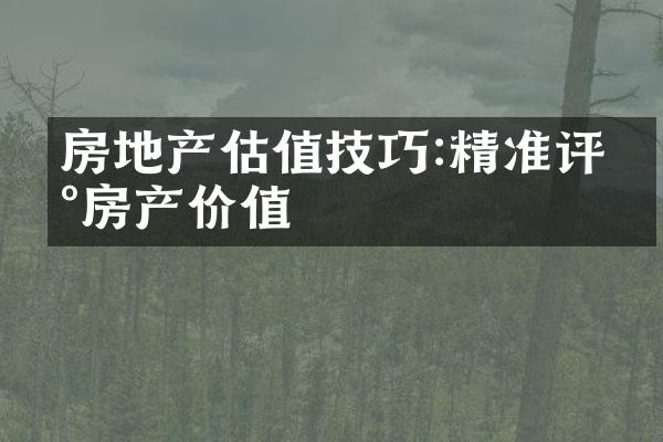 房地产估值技巧:精准评估房产价值