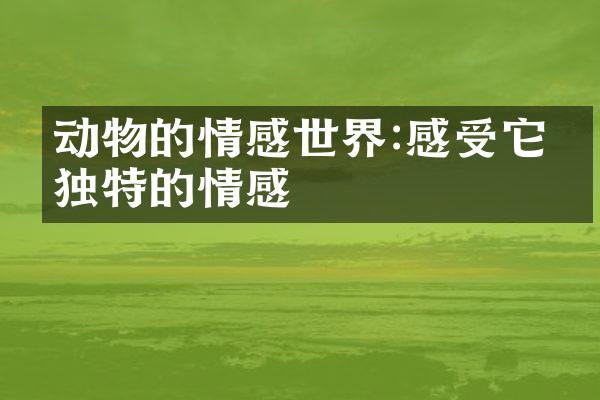 动物的情感世界:感受它们独特的情感