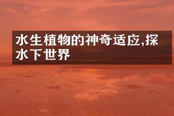 水生植物的神奇适应,探索水下世界