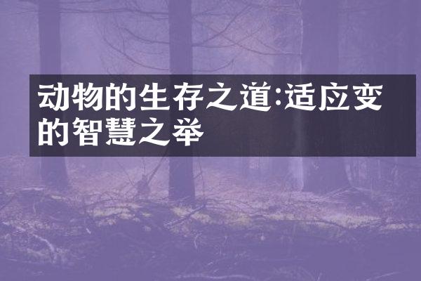 动物的生存之道:适应变化的智慧之举