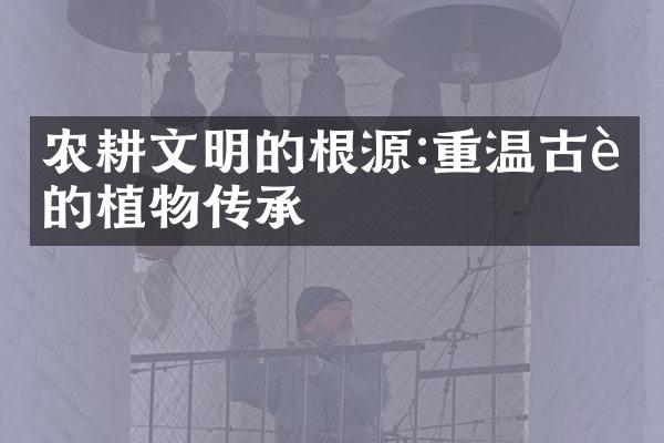 农耕文明的根源:重温古老的植物传承