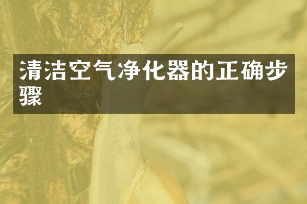 清洁空气净化器的正确步骤
