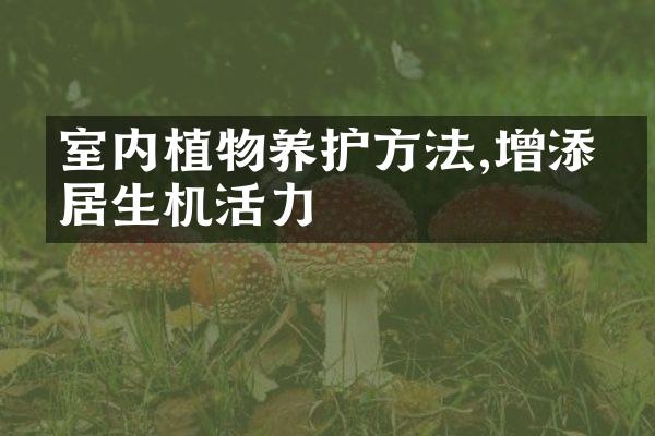 室内植物养护方法,增添家居生机活力