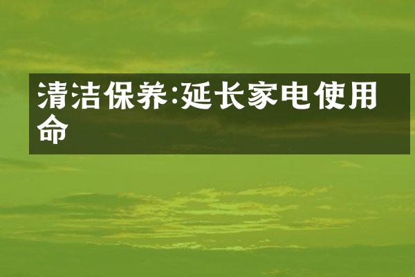 清洁保养:延长家电使用寿命