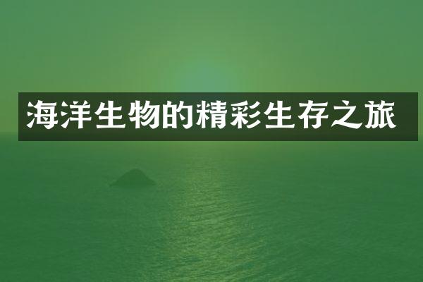 海洋生物的精彩生存之旅