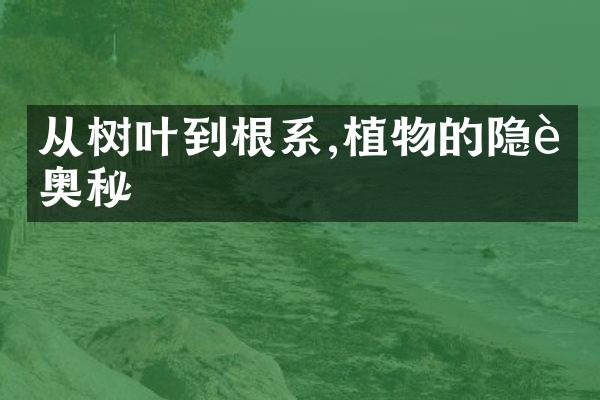 从树叶到根系,植物的隐藏奥秘