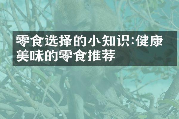 零食选择的小知识:健康又美味的零食推荐