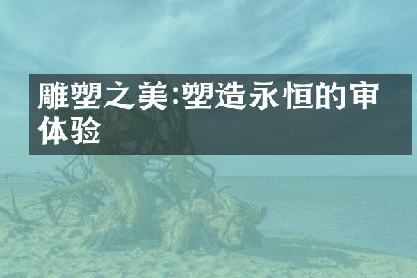 雕塑之美:塑造永恒的审美体验