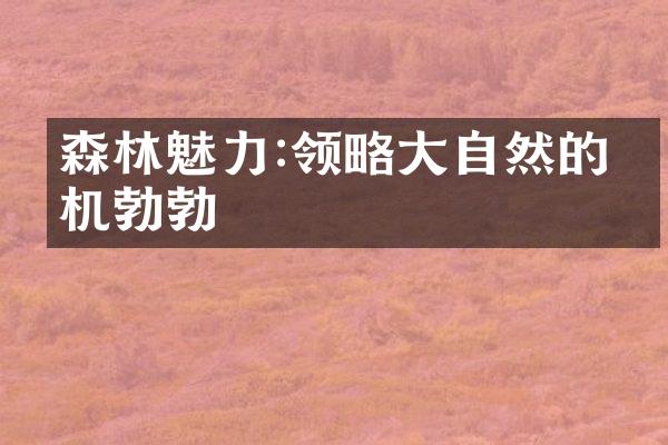 森林魅力:领略大自然的生机勃勃