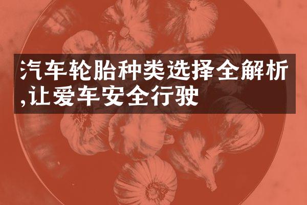 汽车轮胎种类选择全解析,让爱车安全行驶