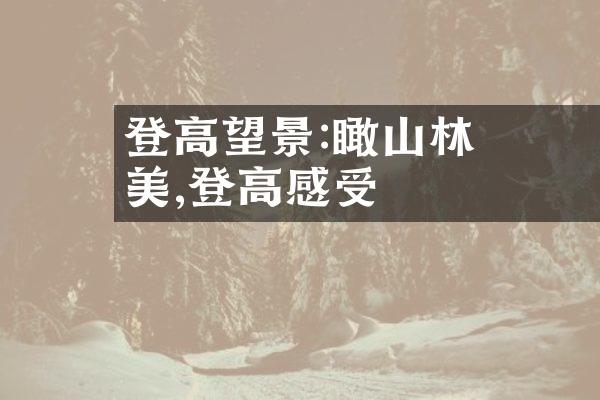 登高望遠觀景:鳥瞰山林之美,體驗登高感受