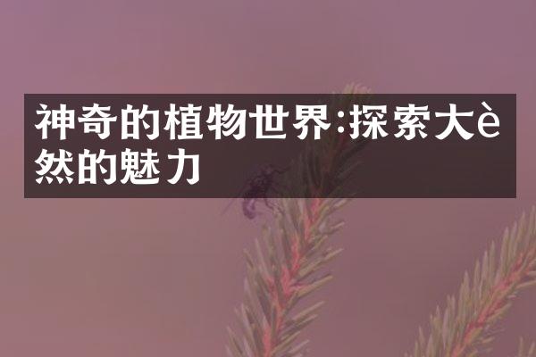 神奇的植物世界:探索大自然的魅力