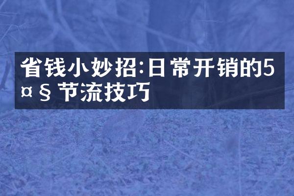 省钱小妙招:日常开销的5大节流技巧