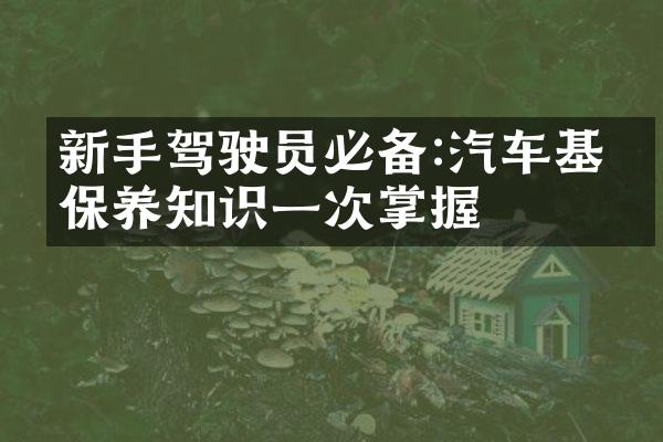 新手驾驶员必备:汽车基础保养知识一次掌握