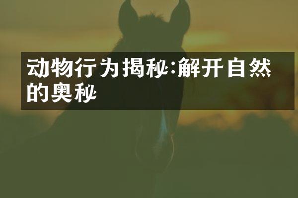 动物行为揭秘:解开自然界的奥秘