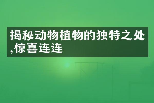 揭秘动物植物的独特之处,惊喜连连