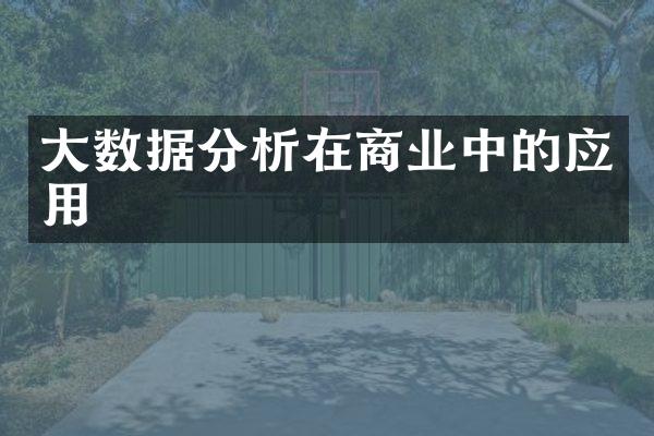 大数据分析在商业中的应用