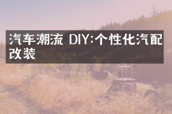 汽车潮流 DIY:个性化汽配件改装