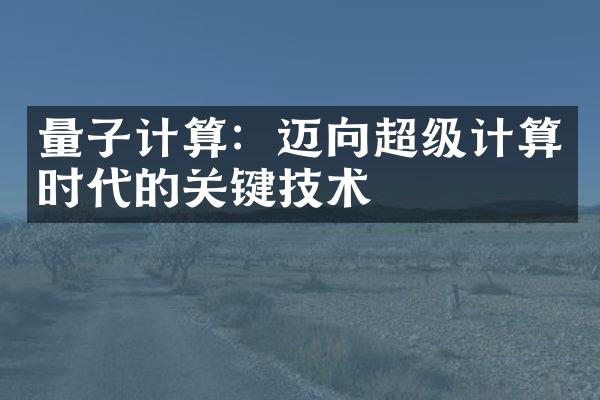 量子计算：迈向超级计算时代的关键技术