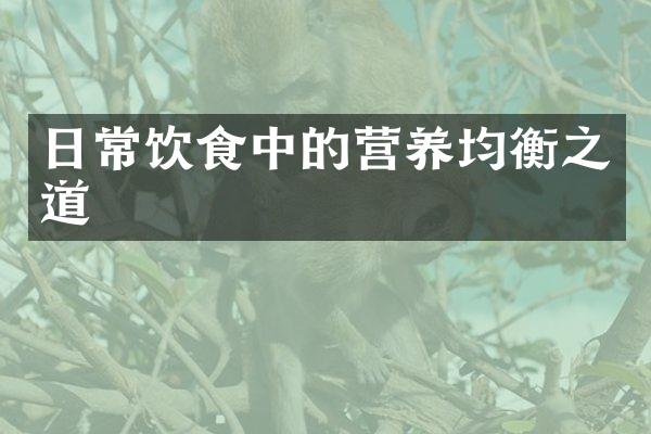 日常饮食中的营养均衡之道