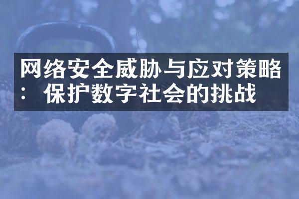 网络安全威胁与应对策略：保护数字社会的挑战