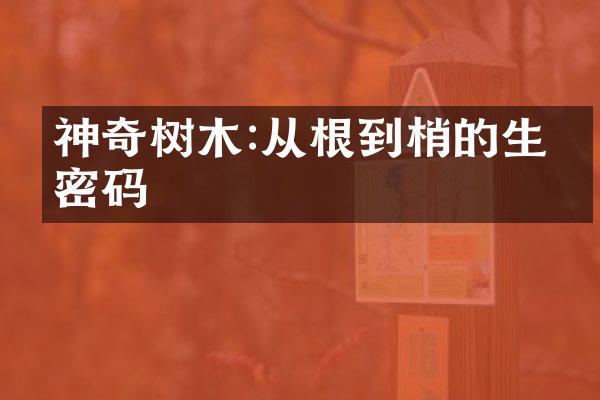 神奇树木:从根到梢的生命密码