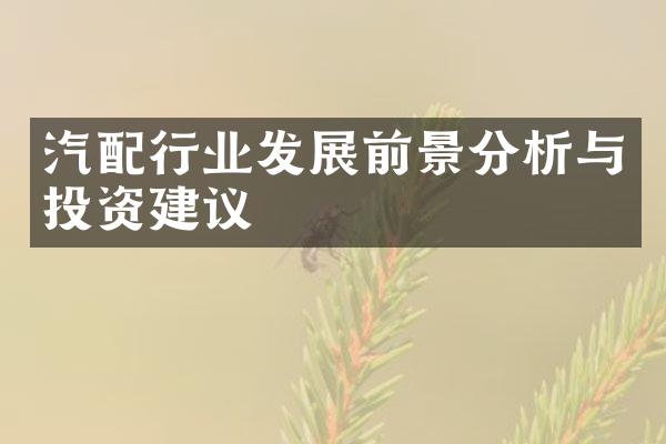 汽配行业发展前景分析与投资建议