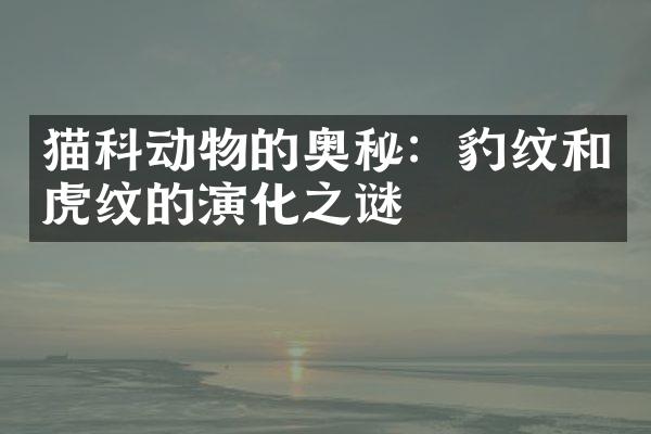猫科动物的奥秘：豹纹和虎纹的演化之谜