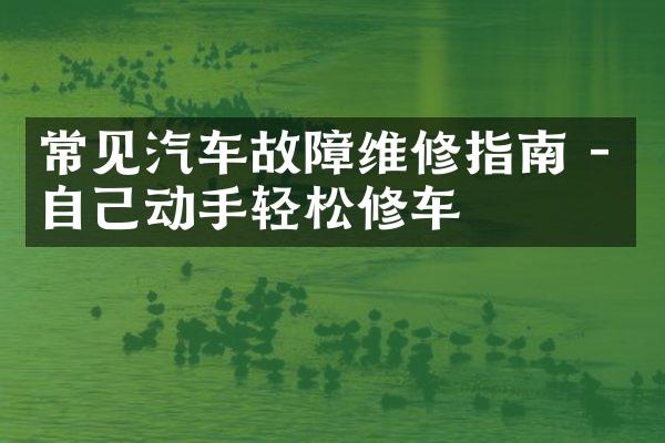 常见汽车故障维修指南 - 自己动手轻松修车
