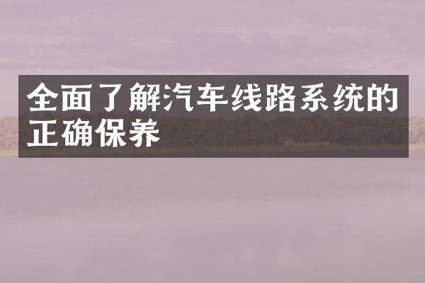 全面了解汽车线路系统的正确保养