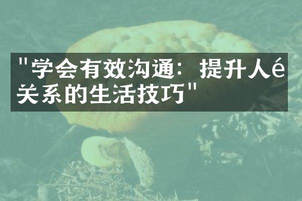 "学会有效沟通：提升人际关系的生活技巧"
