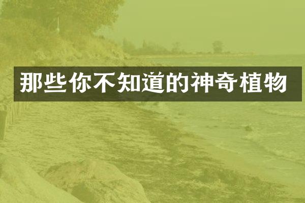 那些你不知道的神奇植物